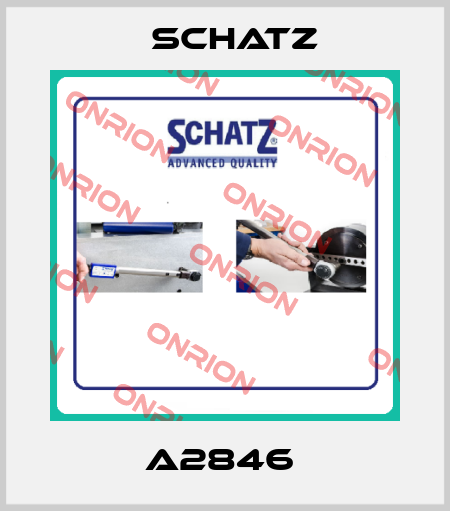 A2846  Schatz