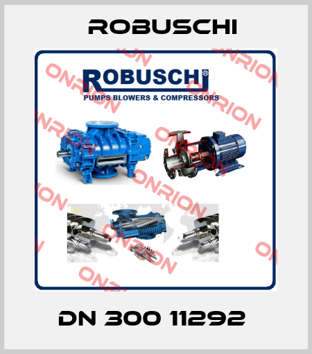 DN 300 11292  Robuschi