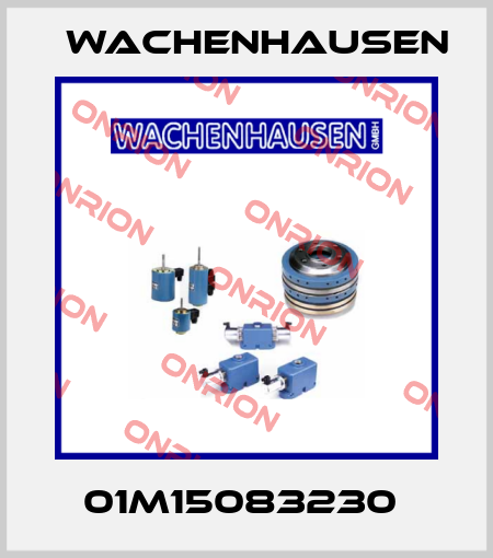 01M15083230  Wachenhausen
