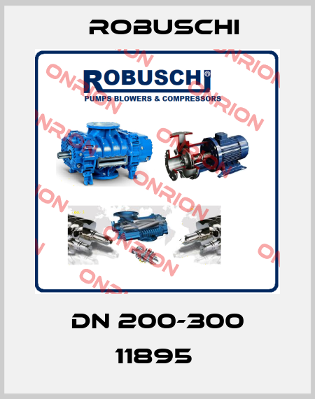 DN 200-300 11895  Robuschi