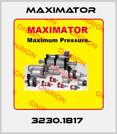 3230.1817  Maximator