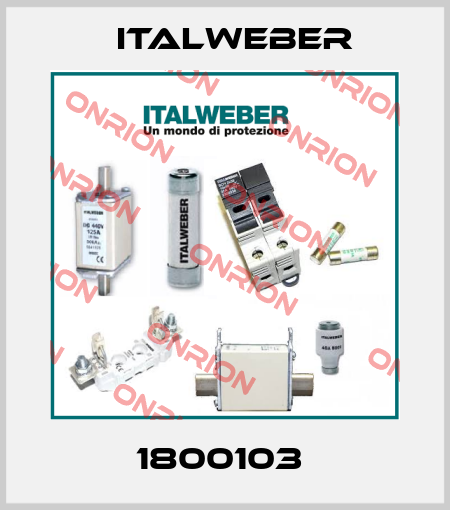 1800103  Italweber