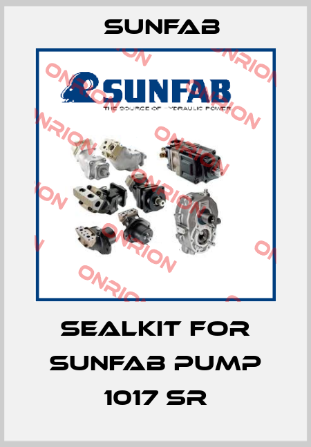 Sealkit for Sunfab pump 1017 SR Sunfab
