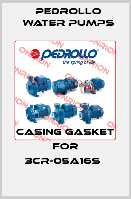 casing gasket for 3CR-05A16S   Pedrollo Water Pumps