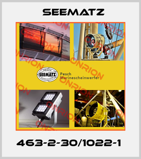 463-2-30/1022-1  Seematz