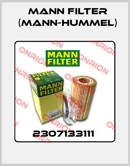2307133111  Mann Filter (Mann-Hummel)