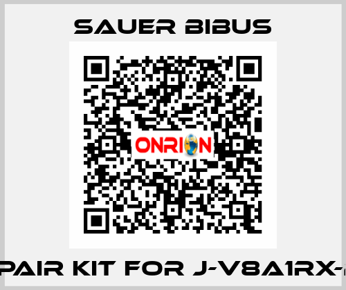 Repair kit for J-V8A1RX-20  SAUER BIBUS