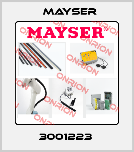 3001223  Mayser