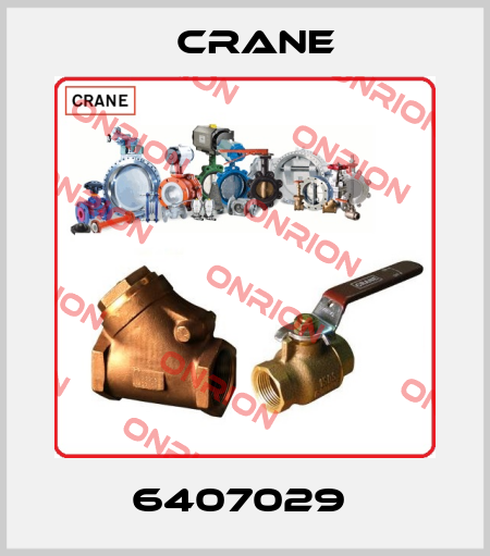 6407029  Crane