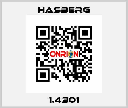 1.4301 Hasberg