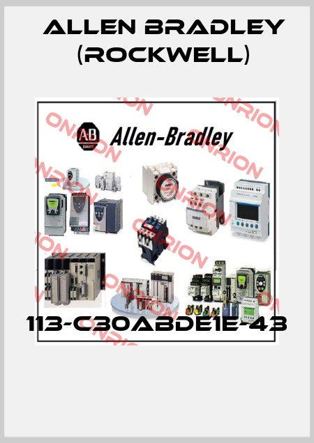 113-C30ABDE1E-43  Allen Bradley (Rockwell)