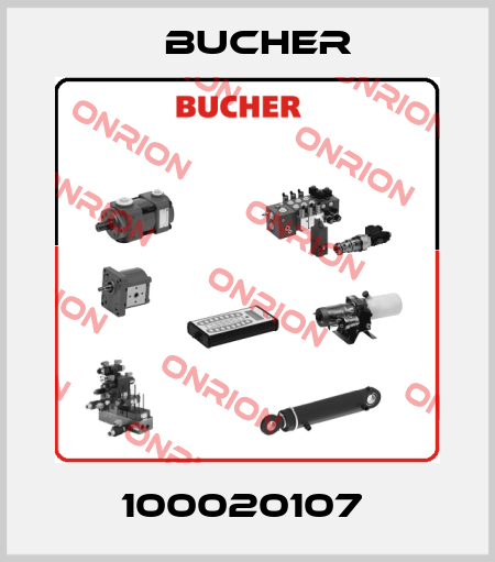 100020107  Bucher