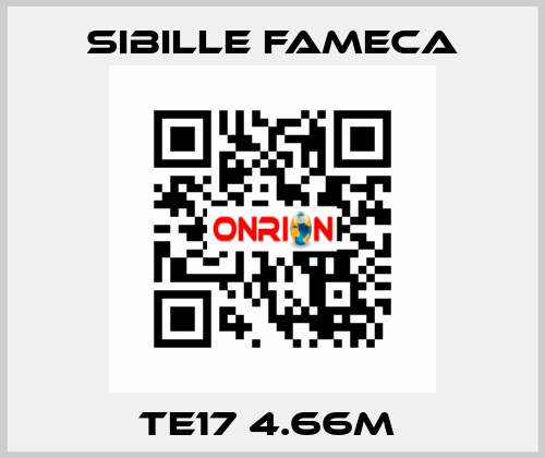 TE17 4.66M  Sibille Fameca