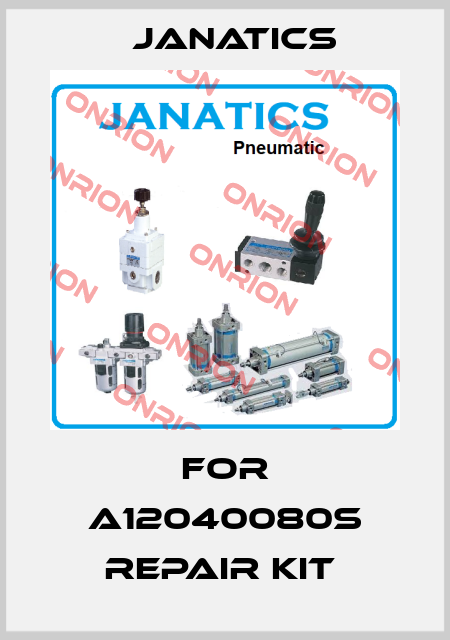 for A12040080S repair kit  Janatics