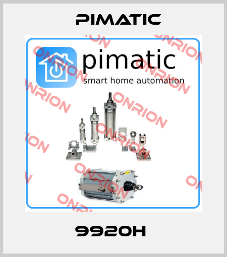 9920H  Pimatic