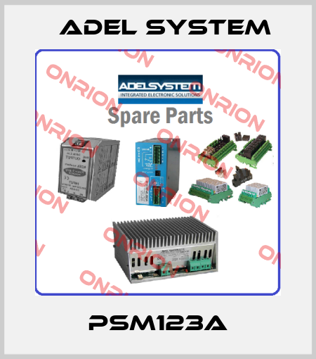 PSM123A ADEL System