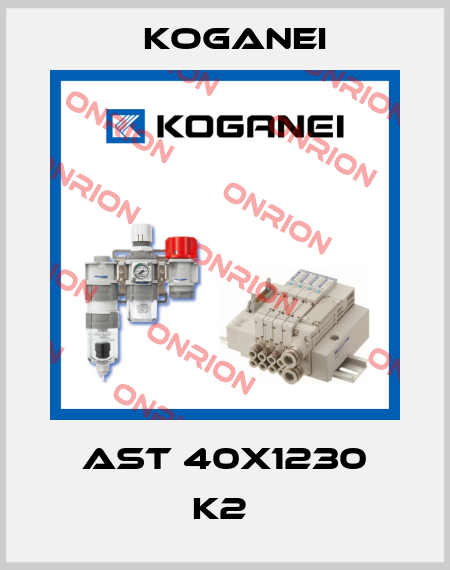 AST 40X1230 K2  Koganei