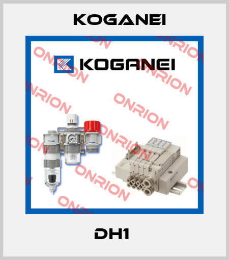 DH1  Koganei