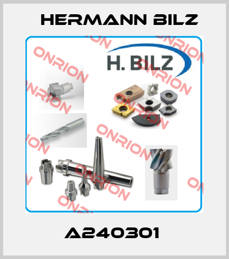A240301  Hermann Bilz