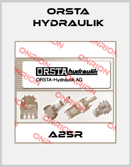 A25R Orsta Hydraulik