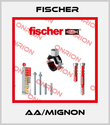 AA/MIGNON Fischer