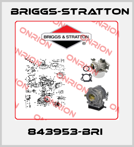 843953-BRI  Briggs-Stratton