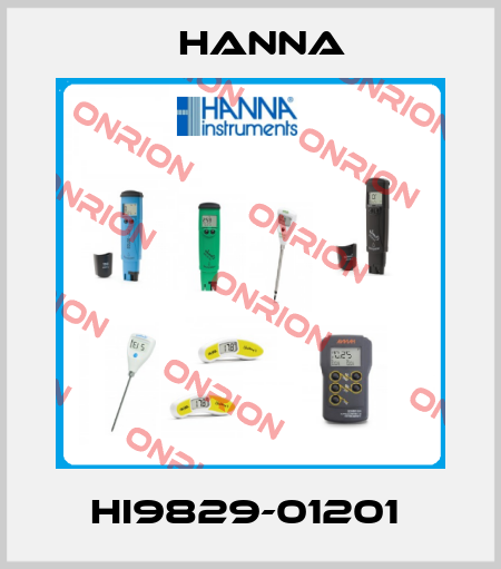 HI9829-01201  Hanna