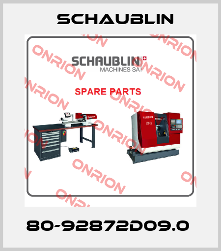 80-92872D09.0  Schaublin