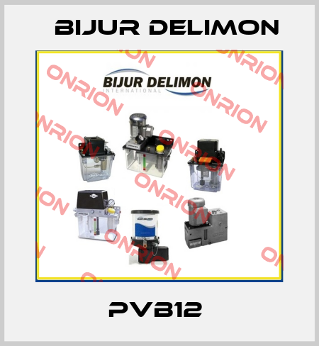 PVB12  Bijur Delimon