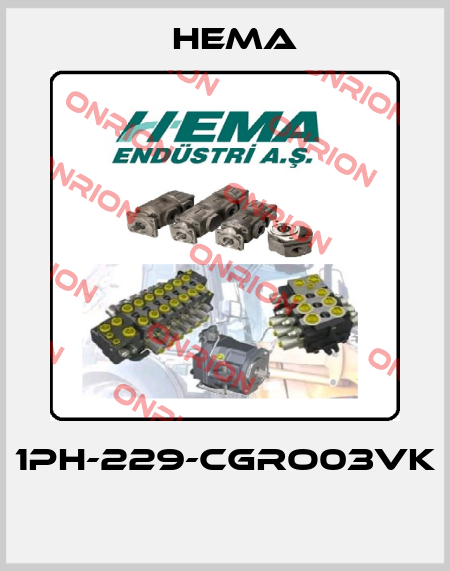 1PH-229-CGRO03VK  Hema