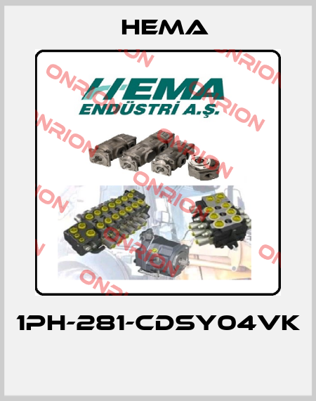 1PH-281-CDSY04VK  Hema