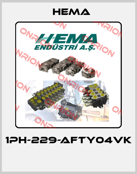 1PH-229-AFTY04VK  Hema