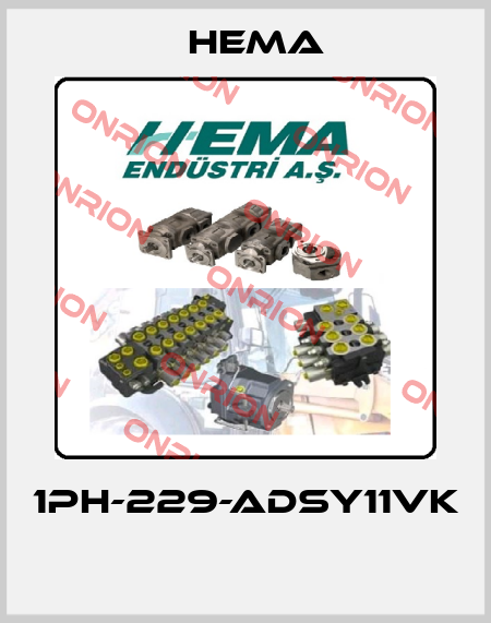 1PH-229-ADSY11VK  Hema