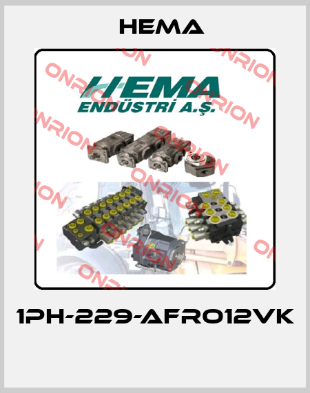 1PH-229-AFRO12VK  Hema