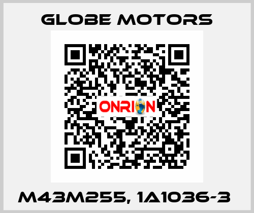 M43M255, 1A1036-3  Globe Motors