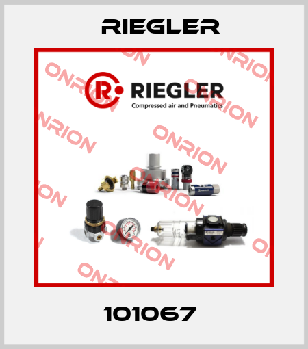 101067  Riegler