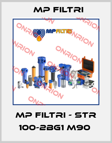 MP Filtri - STR 100-2BG1 M90  MP Filtri