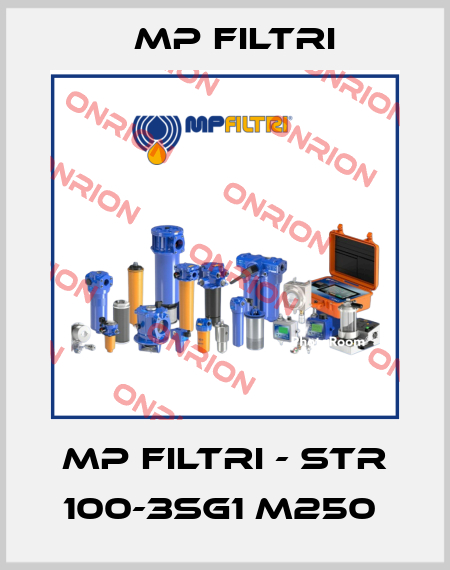 MP Filtri - STR 100-3SG1 M250  MP Filtri