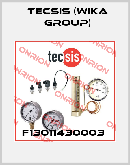 F13011430003  Tecsis (WIKA Group)