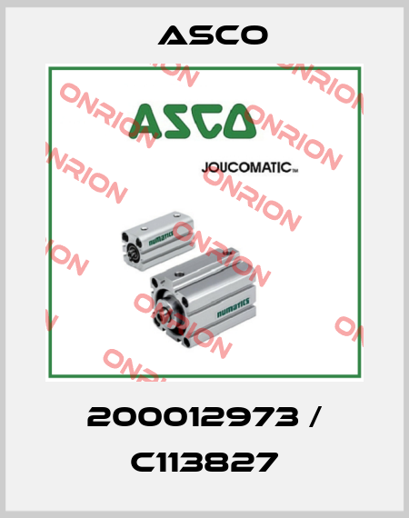 200012973 / C113827 Asco