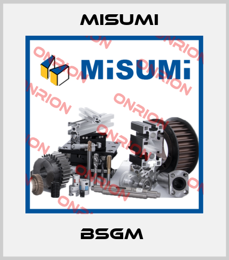 BSGM  Misumi