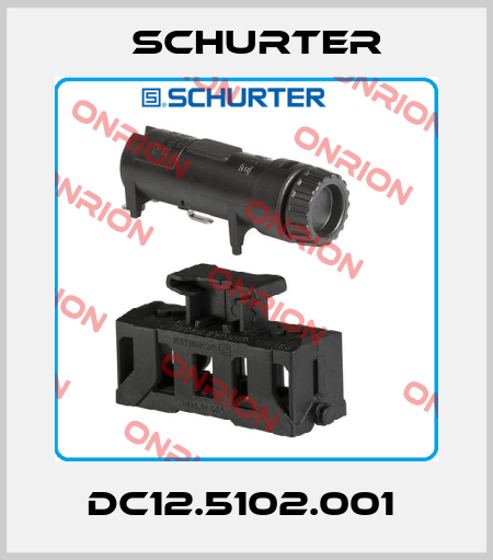 DC12.5102.001  Schurter
