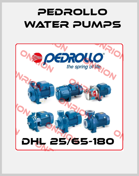DHL 25/65-180  Pedrollo Water Pumps