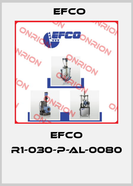 EFCO R1-030-P-AL-0080  Efco