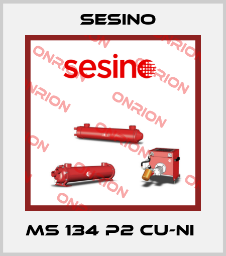 MS 134 P2 Cu-Ni  Sesino
