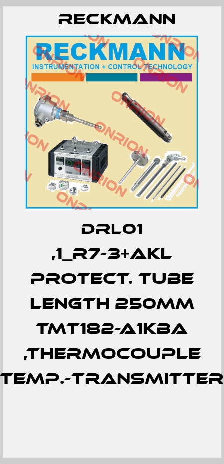 DRL01 ,1_R7-3+AKL PROTECT. TUBE LENGTH 250MM TMT182-A1KBA ,THERMOCOUPLE TEMP.-TRANSMITTER  Reckmann