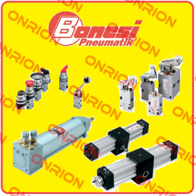 E13A8/E  Bonesi Pneumatic