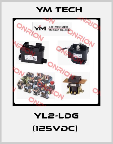 YL2-LDG (125VDC)  YM TECH