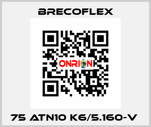 75 ATN10 K6/5.160-V  Brecoflex