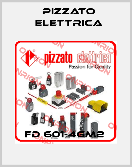 FD 601-4GM2  Pizzato Elettrica